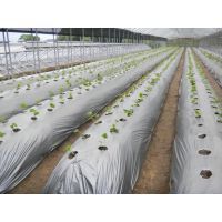 技術突破：新農膜材料將邁向世界先進