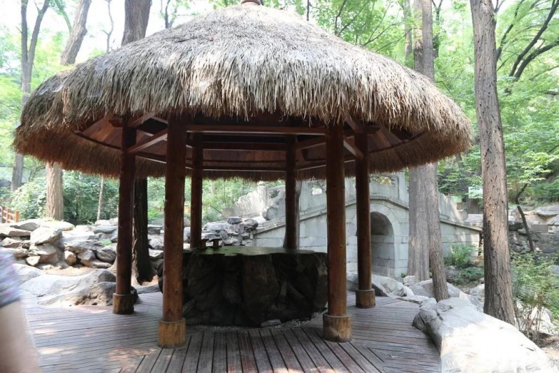 塑料仿真茅草——園林景觀的新潮流裝飾件
