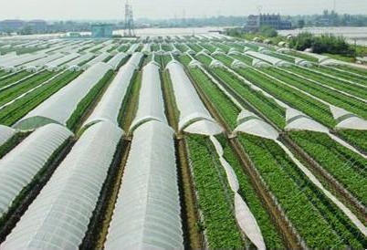 浙江：要求2020年廢舊農膜回收率達90%