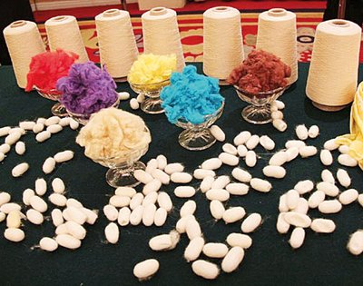 大力扶持生物基材料產(chǎn)業(yè)發(fā)展