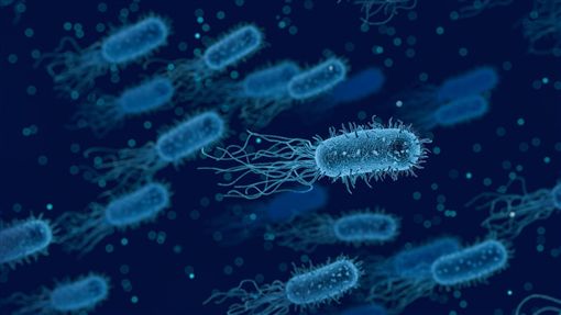 科學家研發可自我清潔塑料薄膜 或能對抗超級細菌
