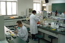 化學化工實驗室安全管理團標發(fā)布