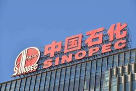中俄合作建設全球最大聚合物工廠 中國石化持股40%