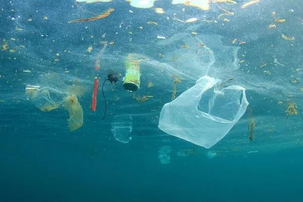 生態環境部：我國近海表層水體微塑料含量處于中低水平