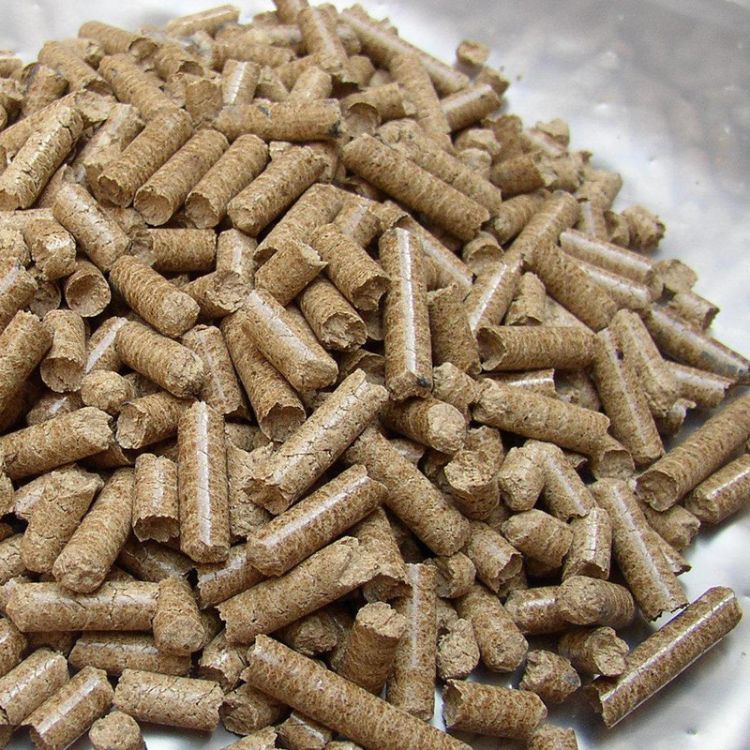 韓國大力扶持可降解生物塑料行業(yè)企業(yè)