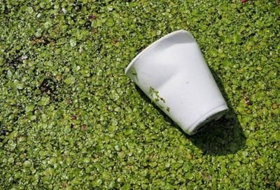 工信部：鼓勵支持生物降解塑料的產(chǎn)業(yè)化示范應(yīng)用