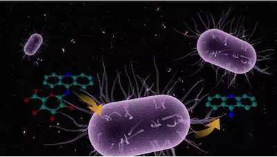 中國科學家發(fā)現能有效降解塑料垃圾的海洋微生物菌群和酶