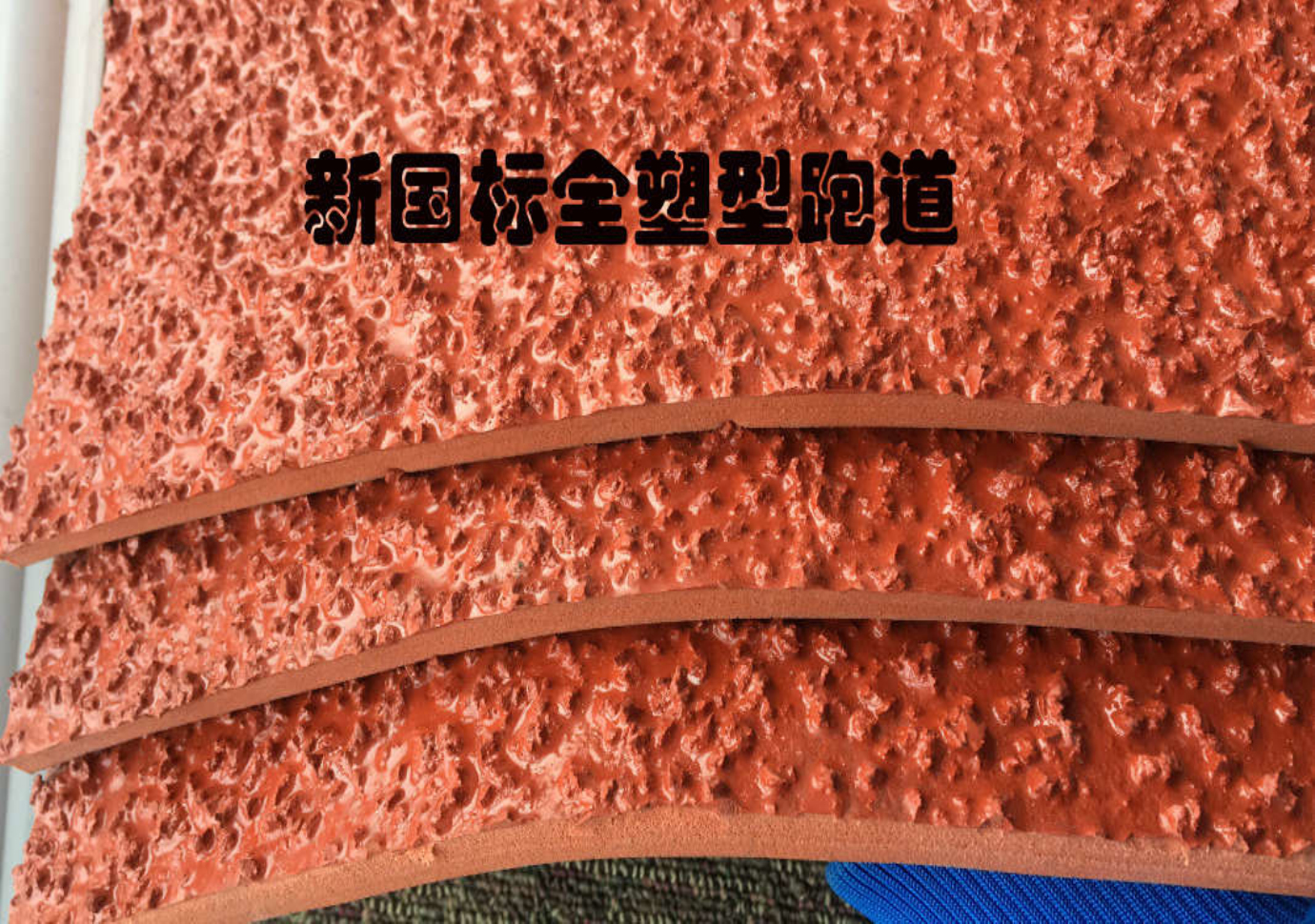 巨峰體育設施 (12)