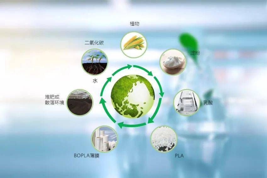 國(guó)內(nèi)首個(gè)生物基膜材在廈量產(chǎn) 最快半年內(nèi)完全降解
