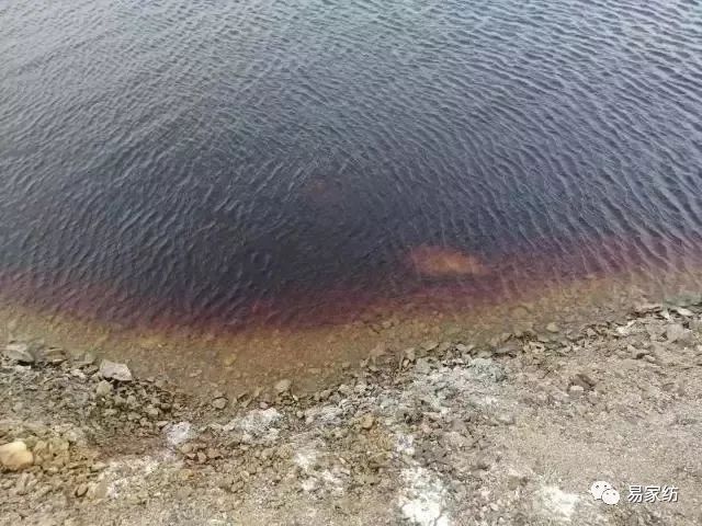 遼寧曝光8個生態環境違法典型案例