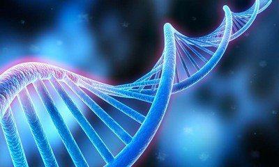 天津大學研發新型DNA生物塑料