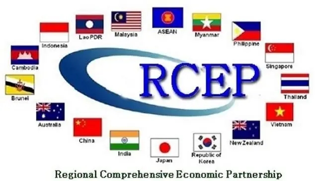 海關總署：我國對RCEP其他14個成員國進出口額占外貿總值30.4%