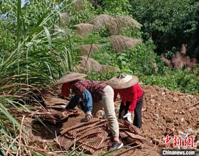 湖南祁陽推進(jìn)農(nóng)膜回收利用 助力農(nóng)業(yè)綠色發(fā)展