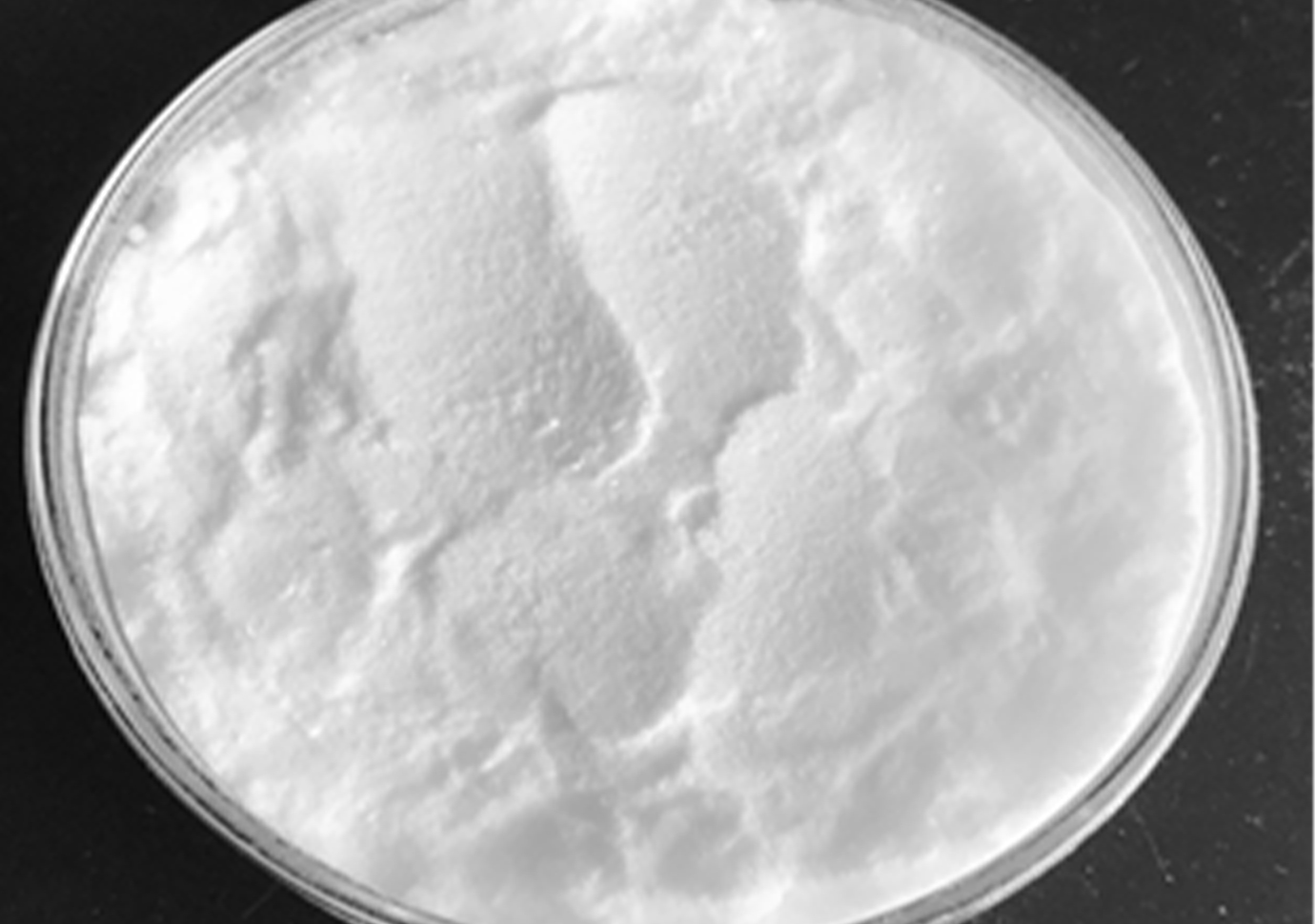 熵能創新材料 (5)