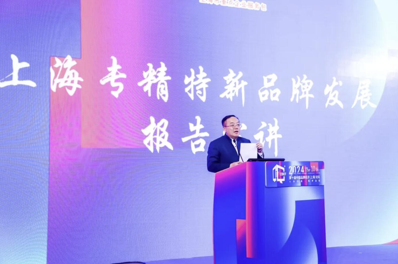 上海專精特新企業(yè)品牌價(jià)值系列榜單發(fā)布