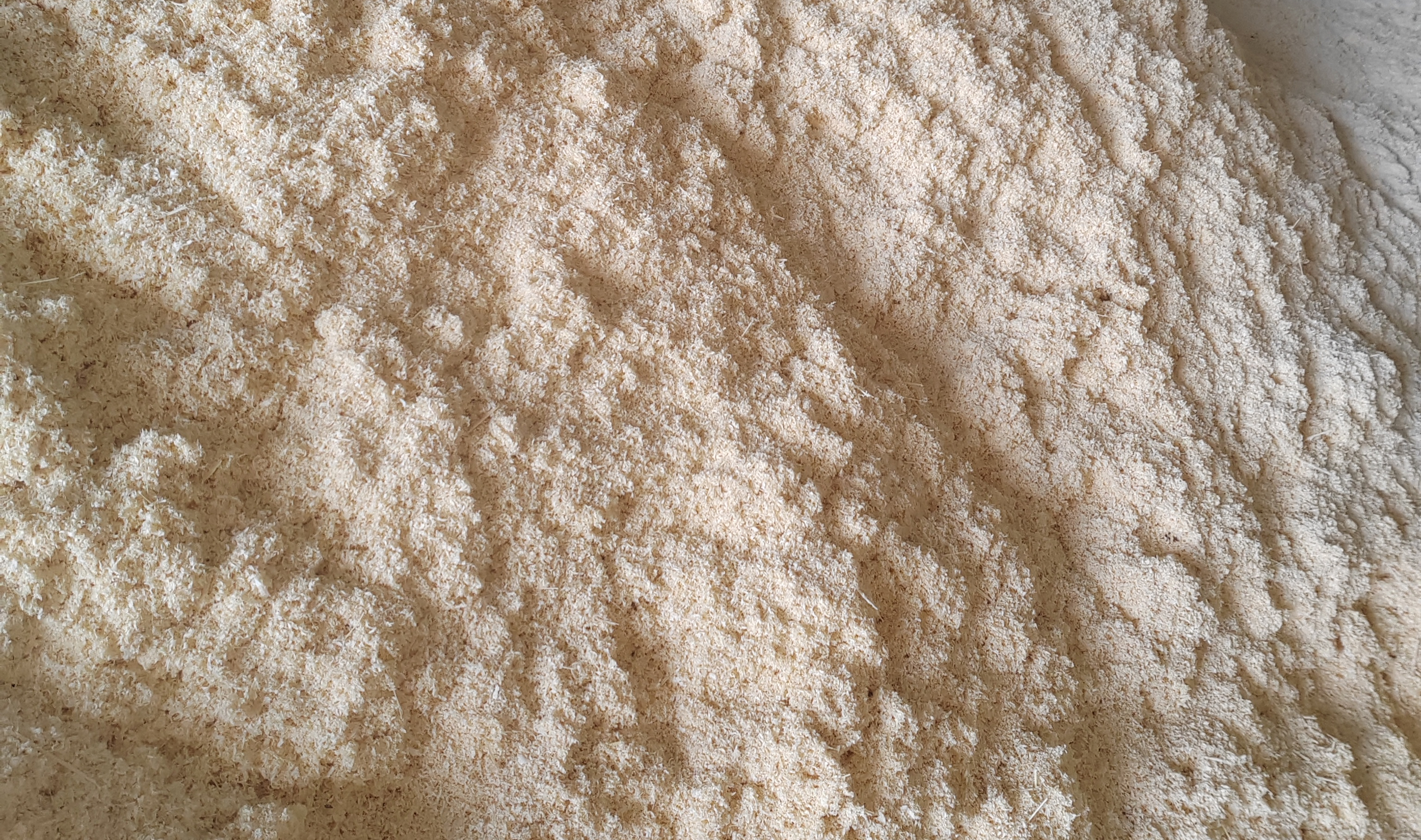 竹粉環球，邊角料化身綠色熱銷品